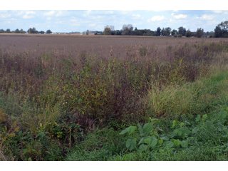 Property photo 28 - EHLE FARMS AUCTION - 118+/- ACRES IN 9 TRACTS IN ALLEN COUNTY, INDIANA